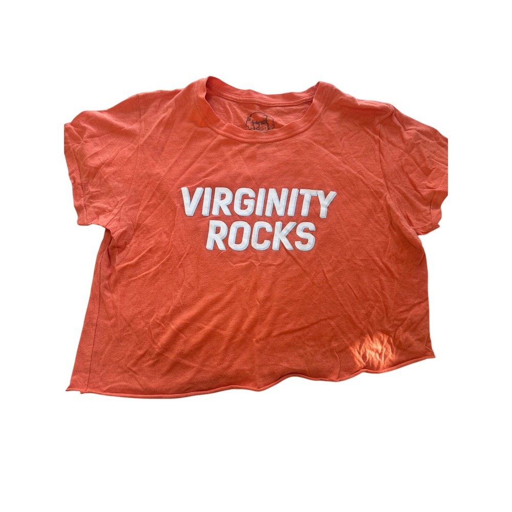 Danny Duncan Virginity Rocks Shirt Womens Large Ironic Gen Z  Crop Graphic Tee